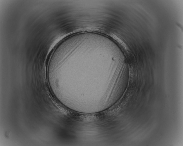 X0000091710886200709210939