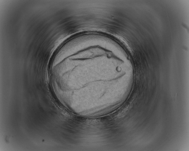 X0000091710887200709210939