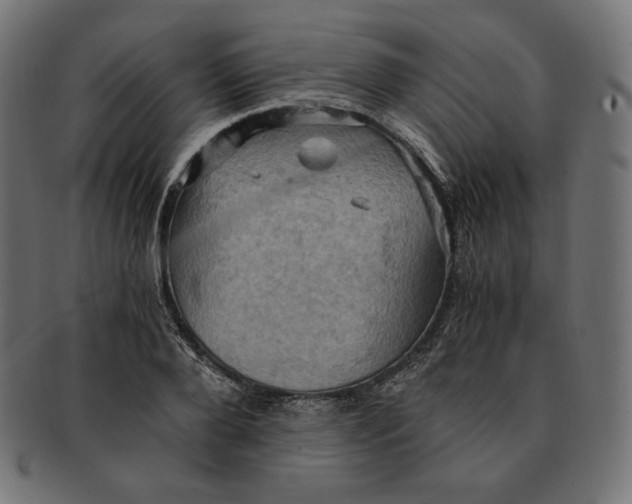 X0000091710888200709210939