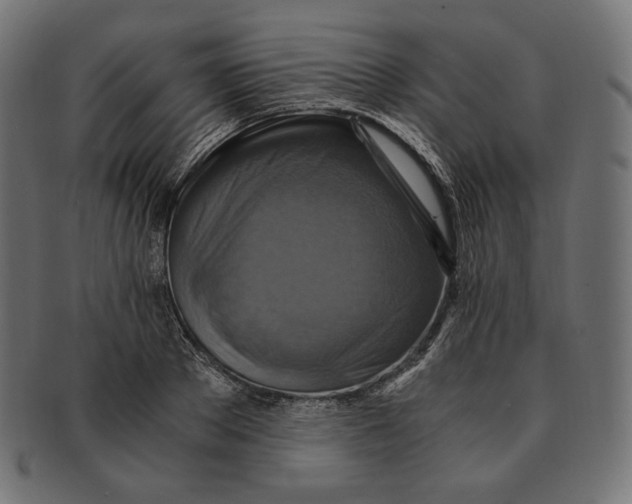 X0000091710889200709210939