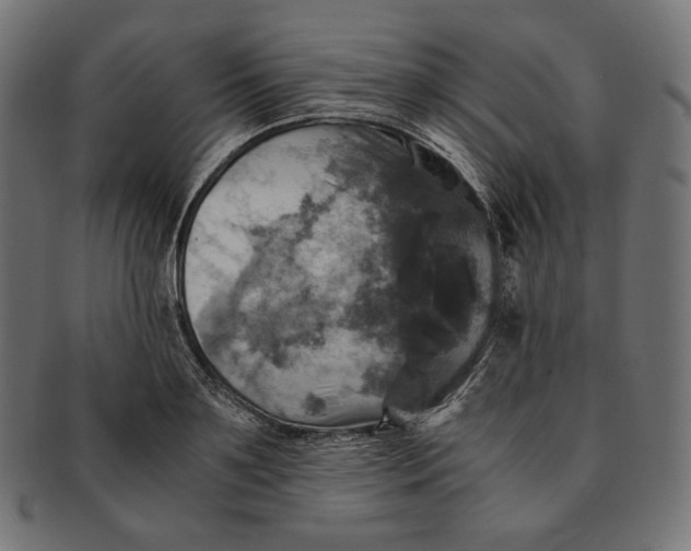 X0000091710891200709210939