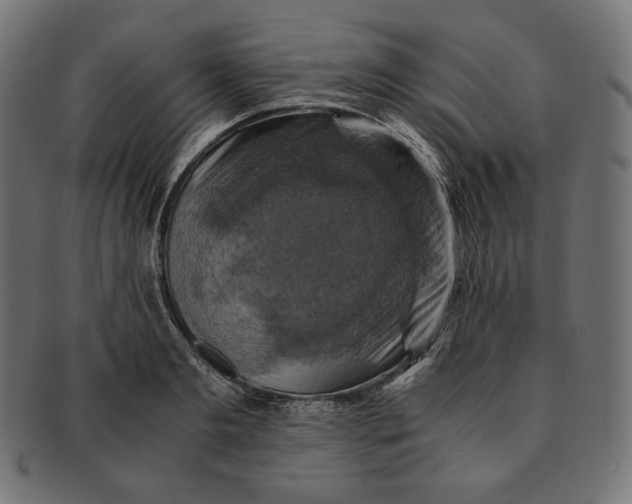 X0000091710893200709210939