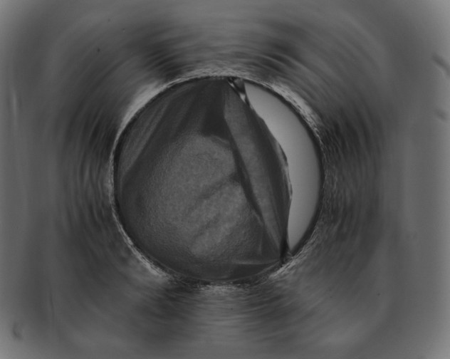 X0000091710894200709210939