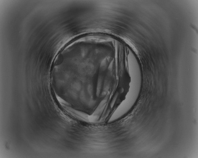 X0000091710895200709210939