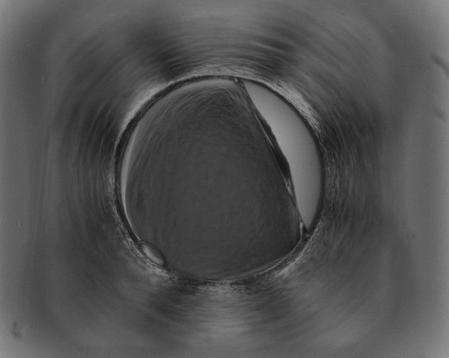 X0000091710896200709210939