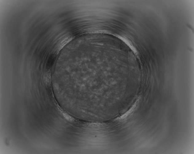 X0000091710897200709210939