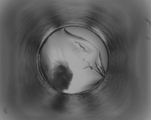 X0000091710899200709210939