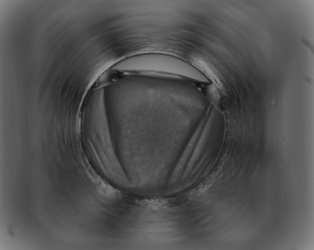 X0000091710900200709210939