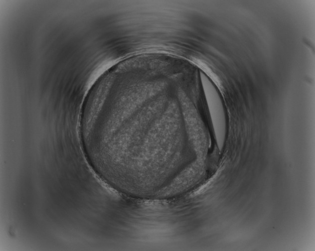 X0000091710901200709210939