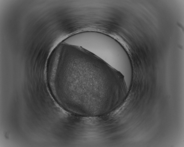 X0000091710902200709210939