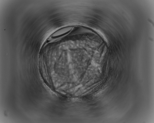 X0000091710903200709210939