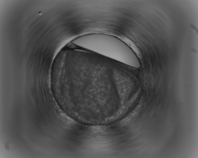 X0000091710904200709210939