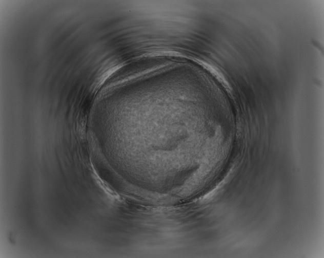 X0000091710905200709210939