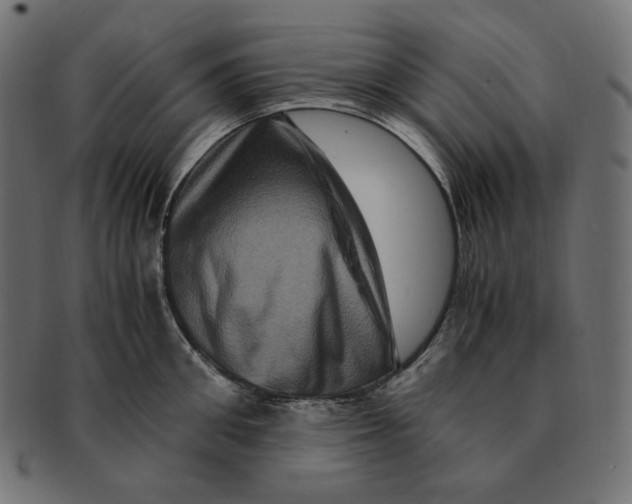 X0000091710906200709210939