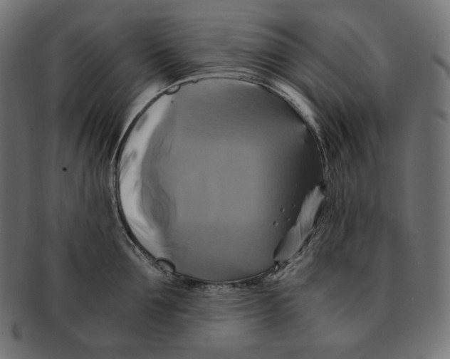 X0000091710907200709210939