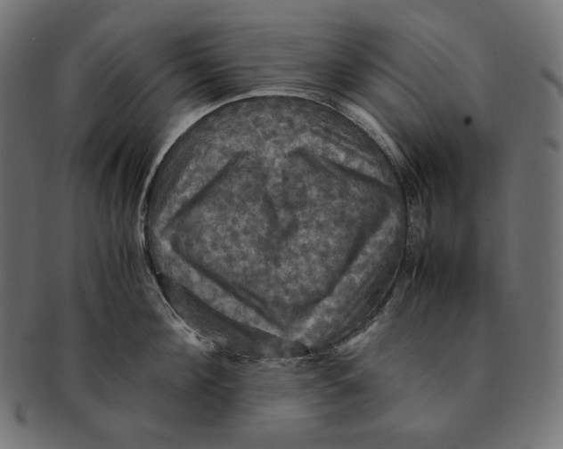 X0000091710908200709210939