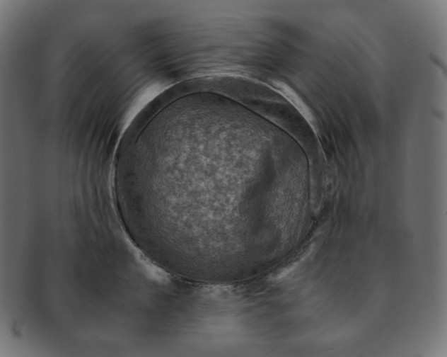 X0000091710909200709210939