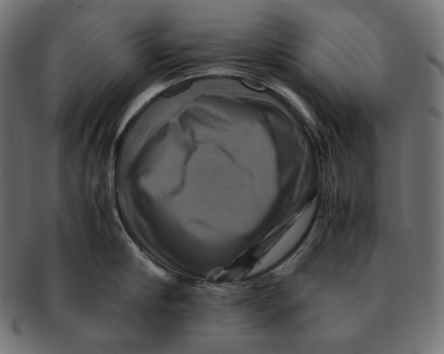 X0000091710910200709210939