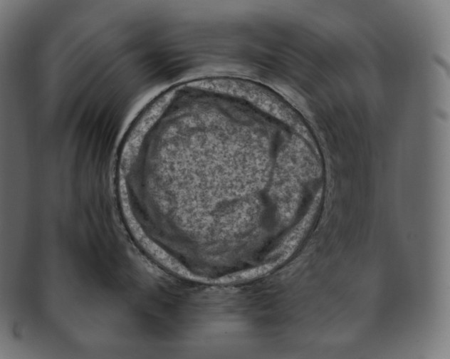 X0000091710912200709210939