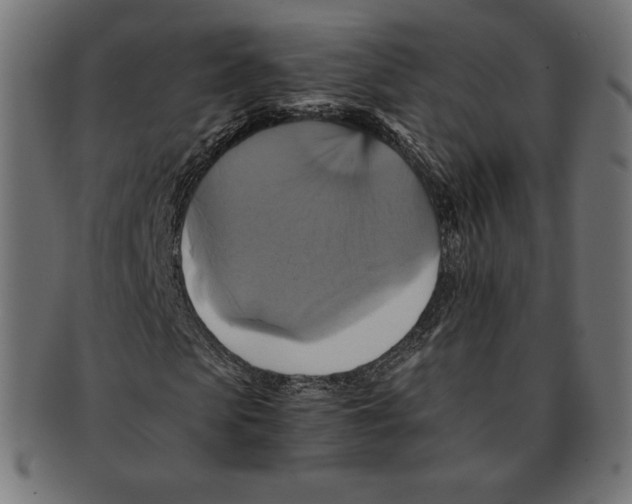 X0000091710913200709210938