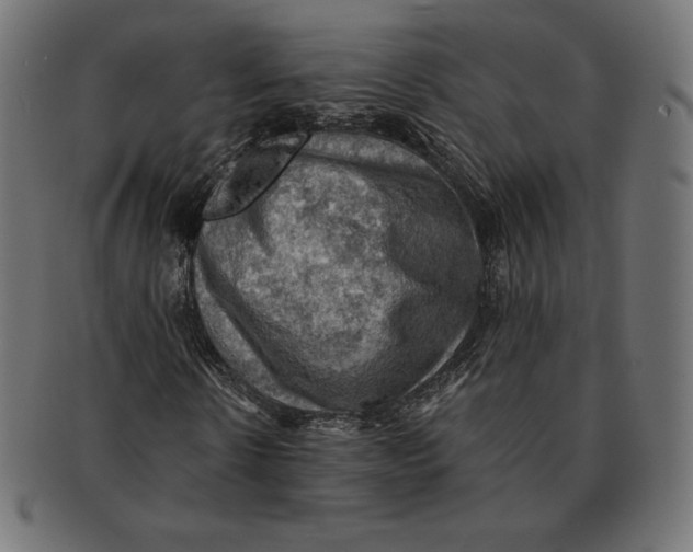 X0000091710914200709210938