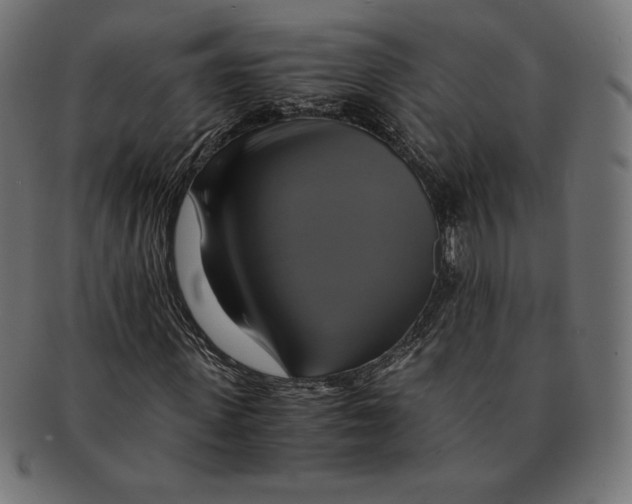 X0000091710915200709210939