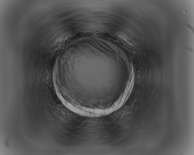 X0000091710917200709210939