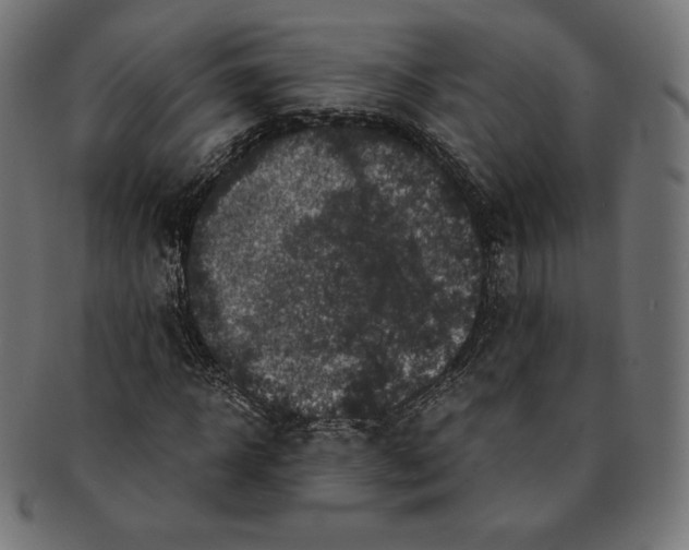 X0000091710918200709210939