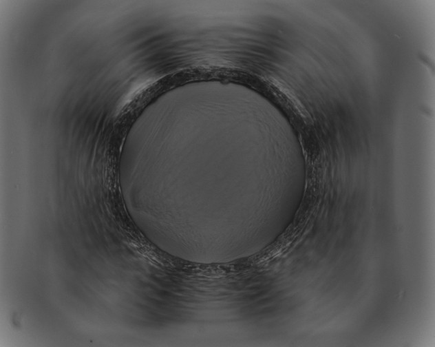 X0000091710919200709210939