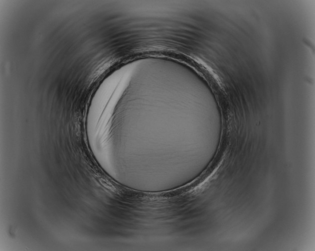 X0000091710921200709210939