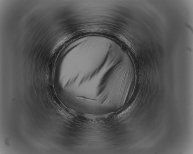 X0000091710922200709210939