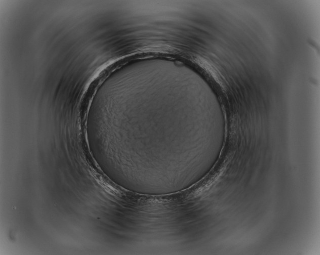 X0000091710923200709210939