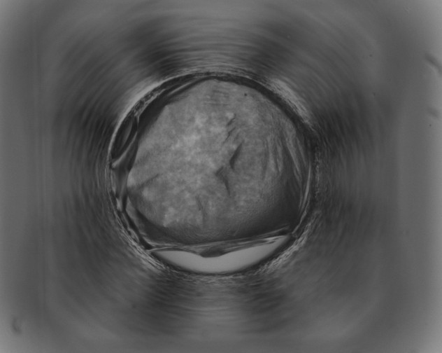 X0000091710924200709210939