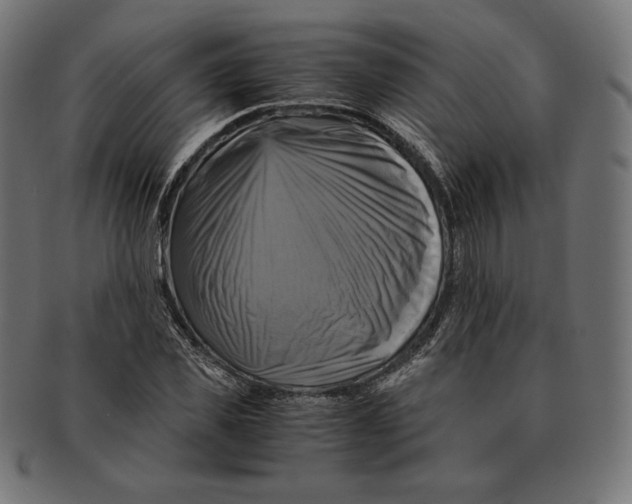 X0000091710925200709210939