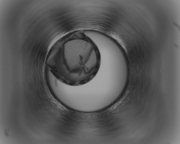 X0000091710928200709210939