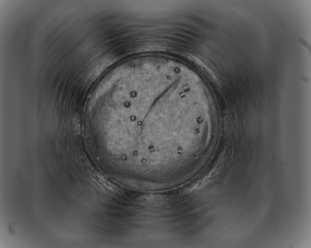 X0000091710929200709210939