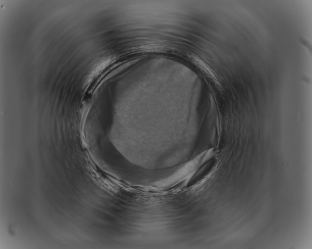 X0000091710930200709210939