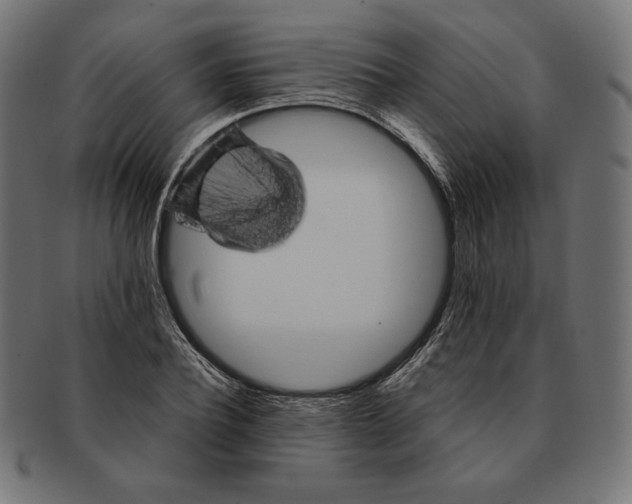 X0000091710932200709210939