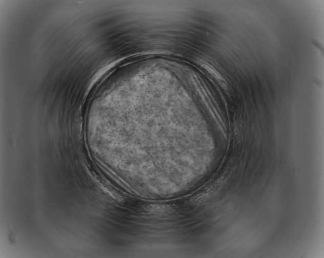 X0000091710933200709210939