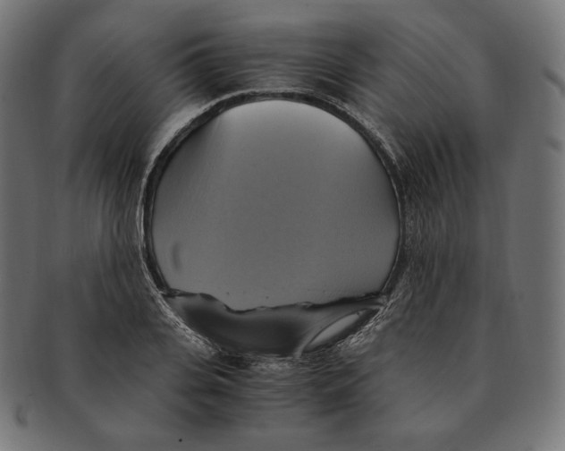 X0000091710935200709210939