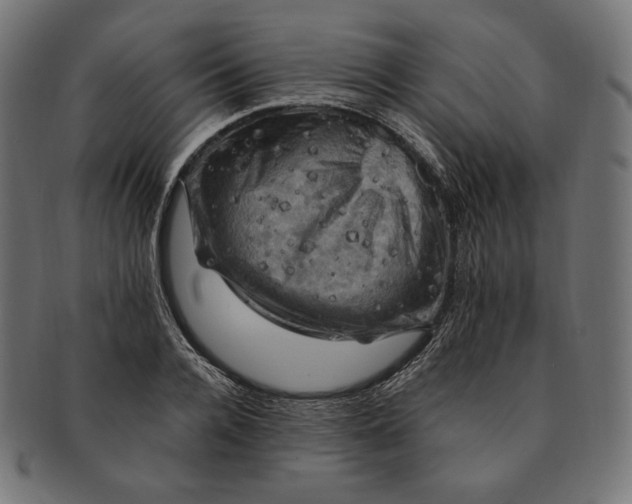 X0000091710936200709210939