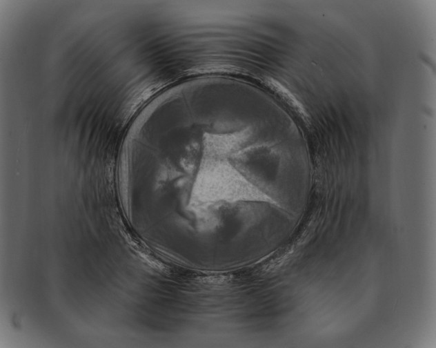 X0000091710937200709210939