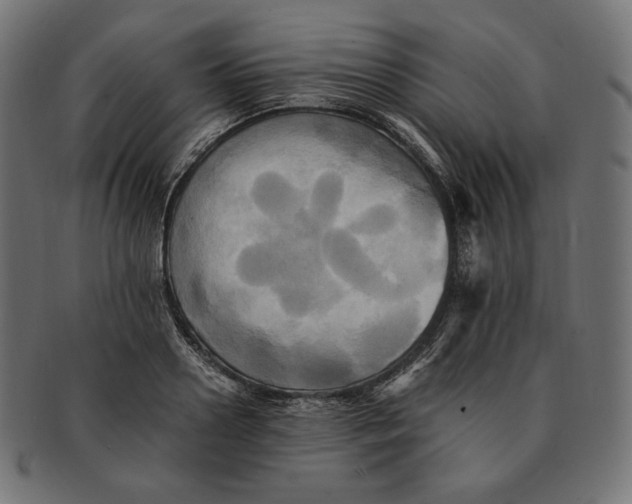 X0000091710938200709210939