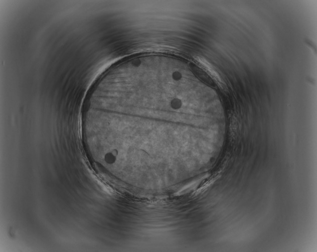 X0000091710940200709210939