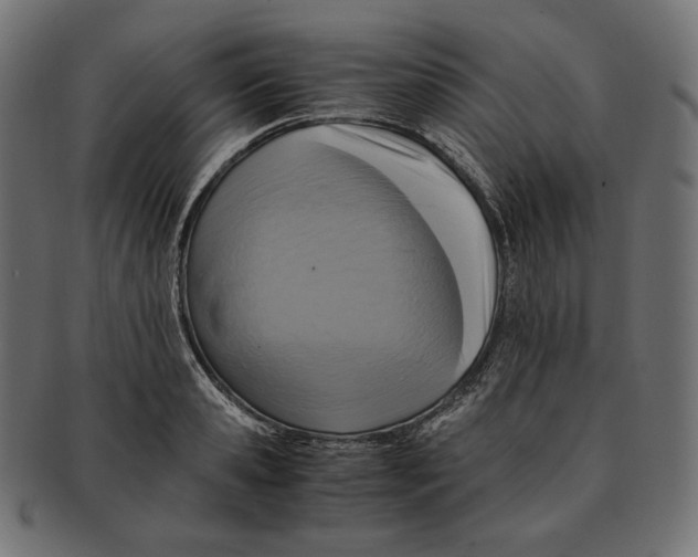 X0000091710941200709210939