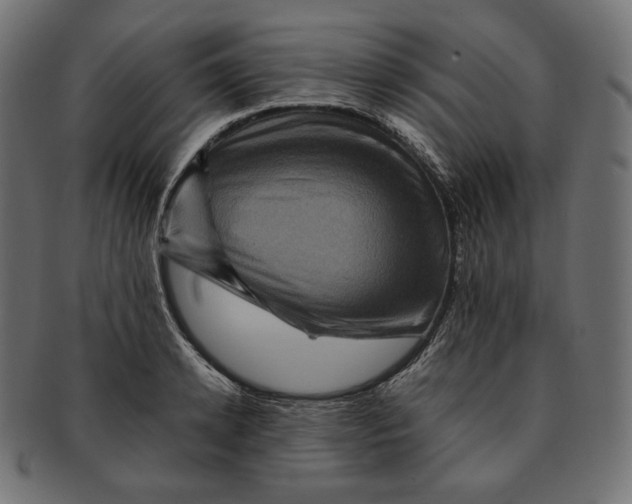 X0000091710942200709210939