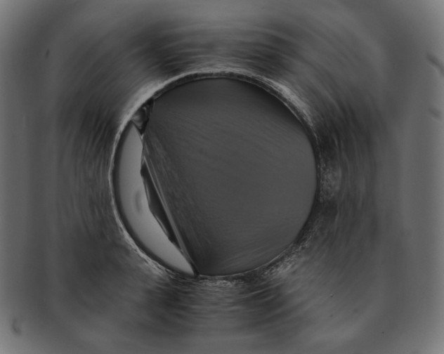 X0000091710943200709210939