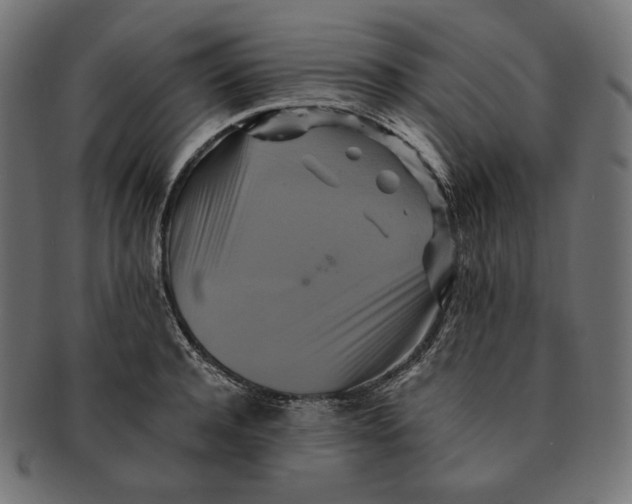 X0000091710944200709210939