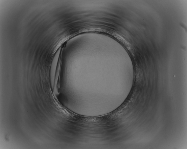 X0000091710945200709210939