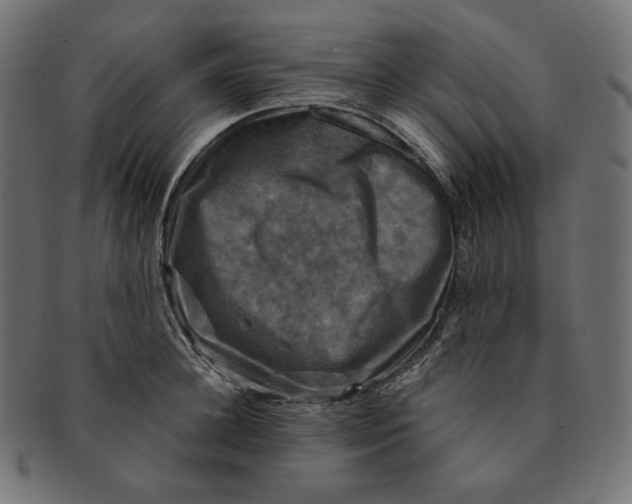 X0000091710948200709210939